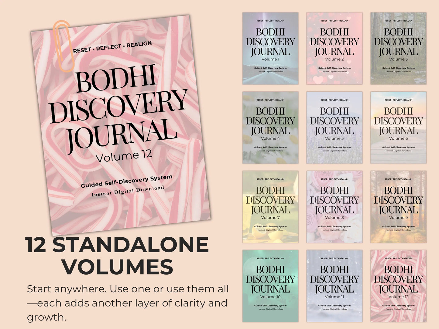 Bodhi Journal Vol 12 - Guided Self-Help Journal and Planner