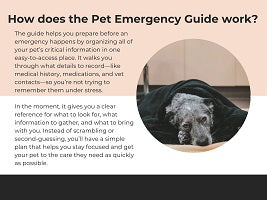 Emergency Guide for Pet Parents