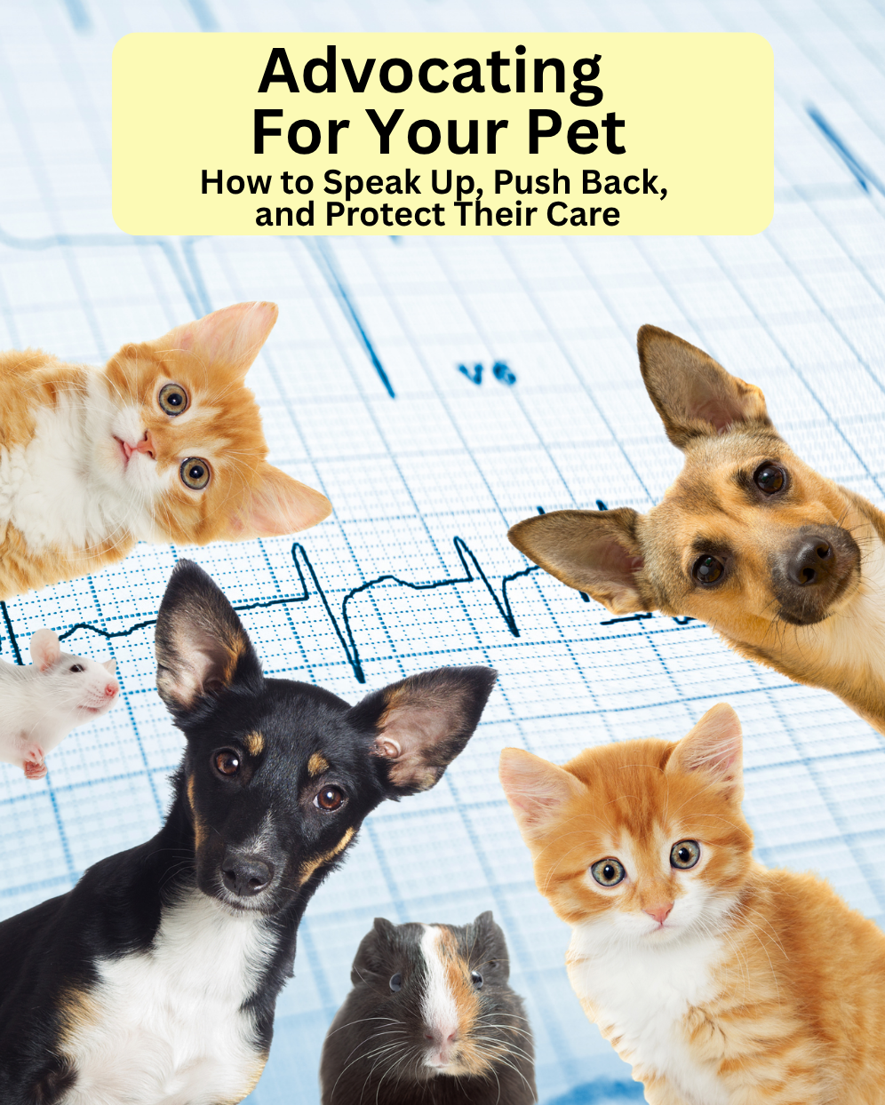 Advocating For Your Pet Healthcare Guide