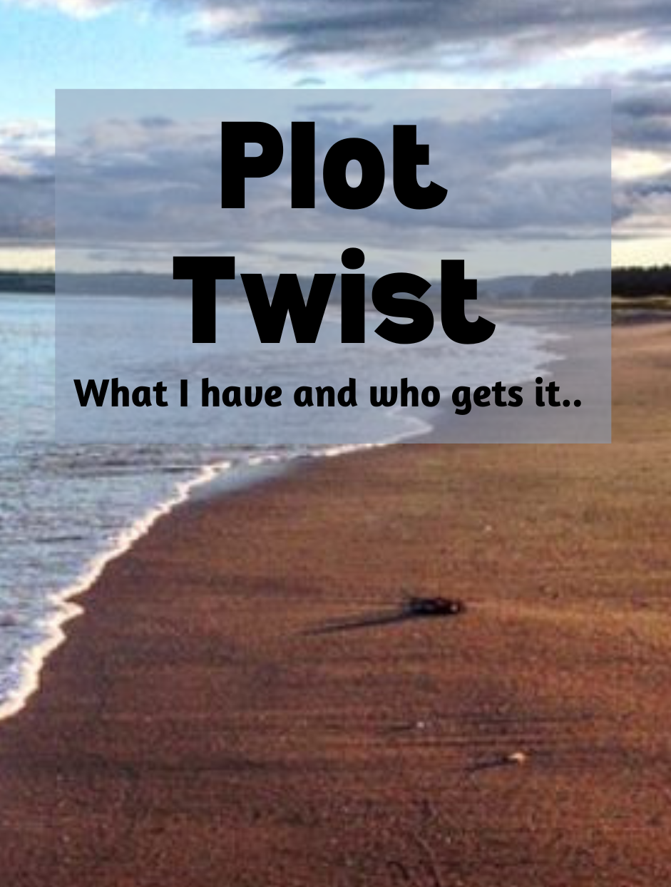 Plot Twist Peace of Mind Planner