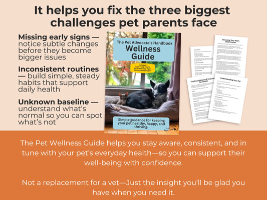 Wellness Guide for Pet Parents